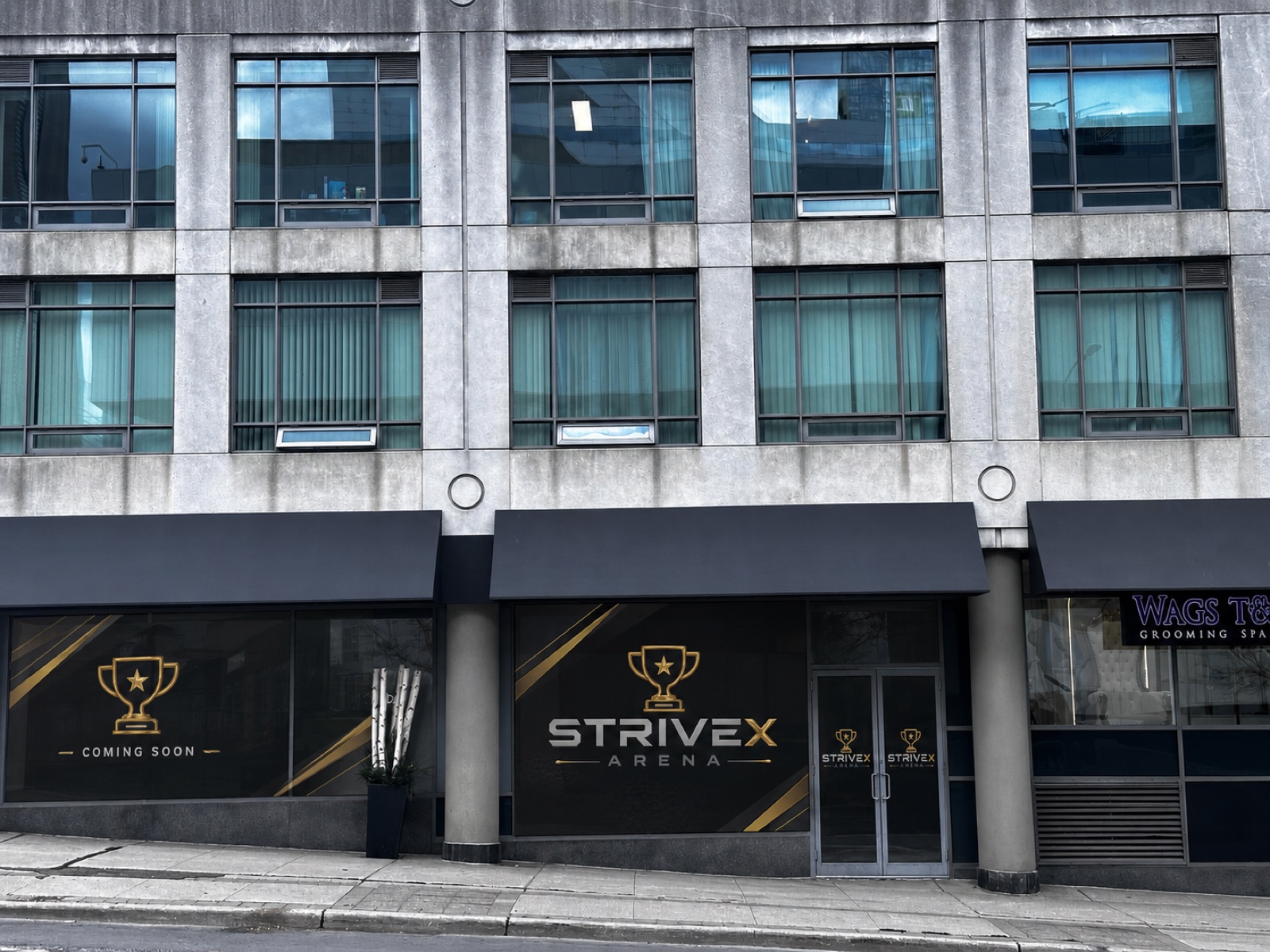 Будущая входная группа StriveX Record Arena в Торонто